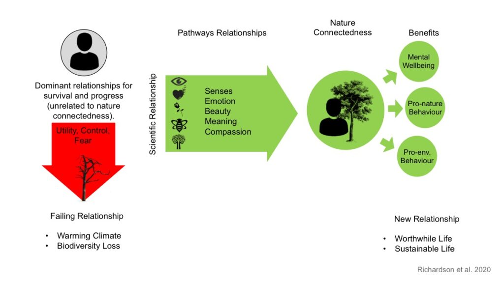 The reciprocal relationship in Nature Connection