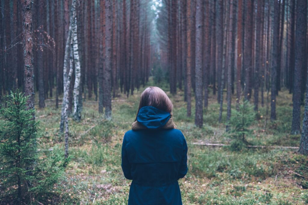 Beginner's guide to forest bathing alone