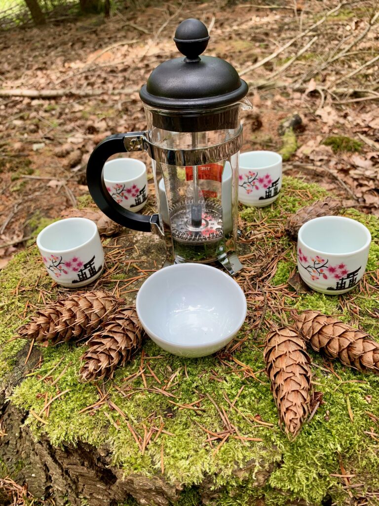 pine needle tea on a Forest Bathing session with Adore Your Outdoors in Newbury