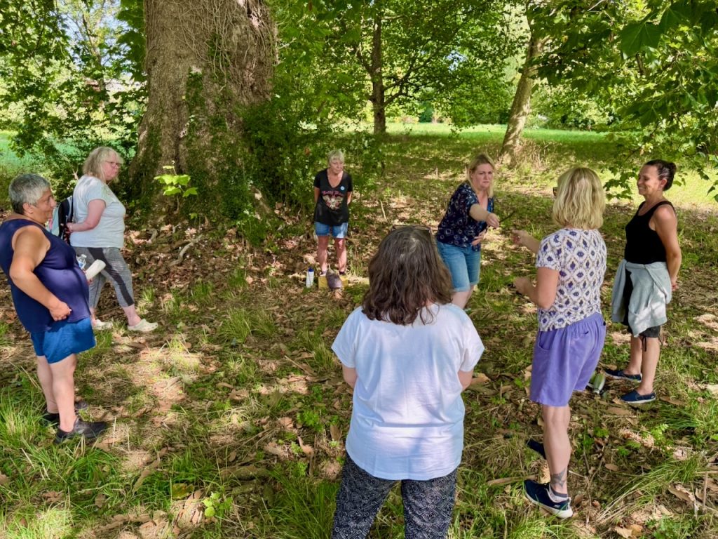 training as a forest bathing guide