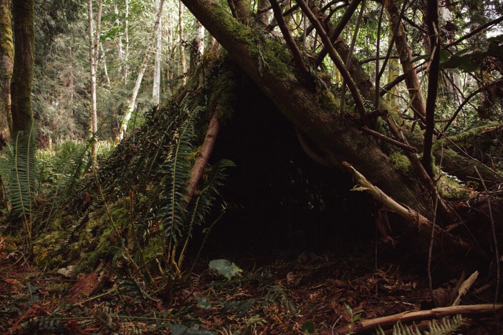 A den built in a forest from many long sticks leaning into each other to provide shelter.