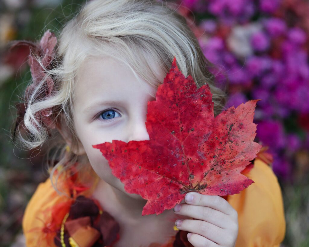 Child holding up an autumnal sycamore leaf 