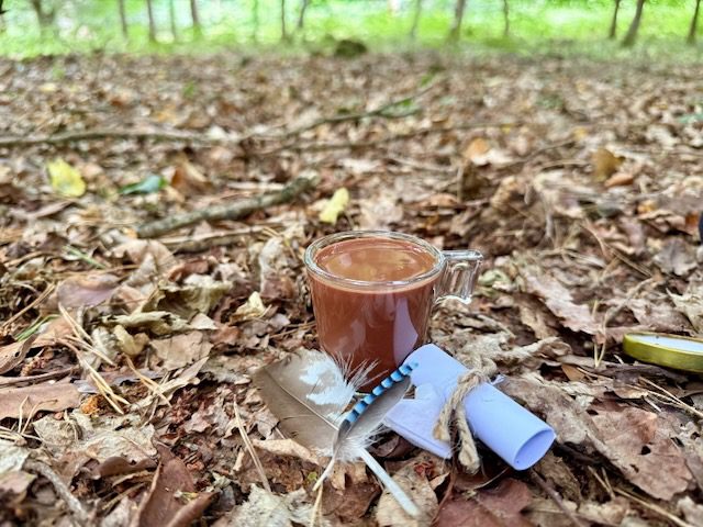 Cacao in forest bathing session