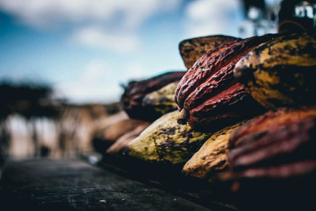 Raw chocolate as an input in the cacao industry